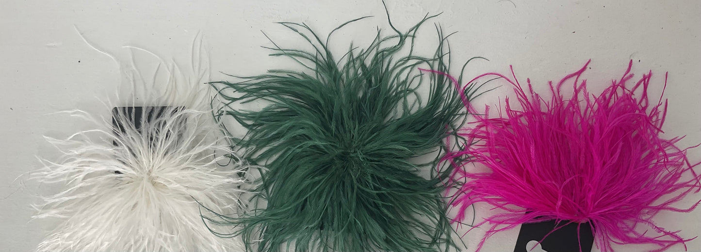 Broches d plumas